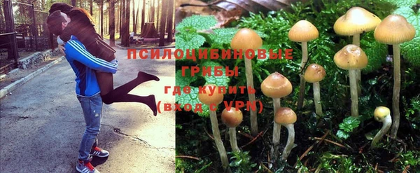 мет Богородицк