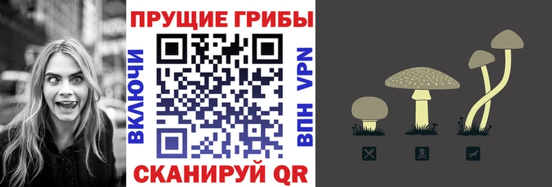 Галлюциногенные грибы Psilocybe  Болотное 